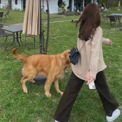 偷窥课程 封面